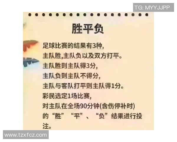 足球明星与篮球明星收入对比谁更胜一筹分析及背后原因探讨